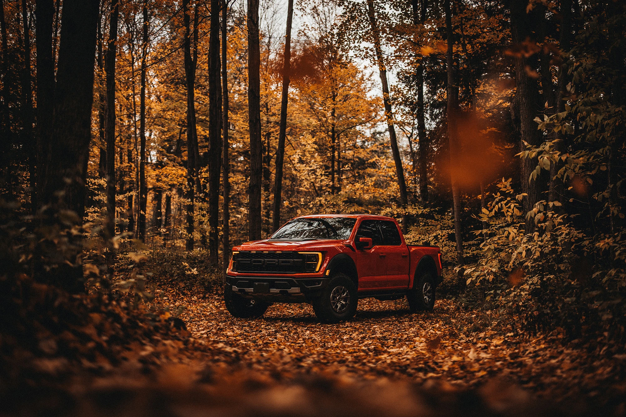 Ford After