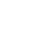 pirate skull